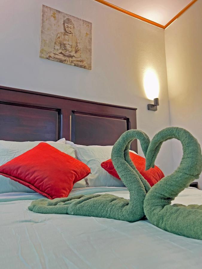 Magic Mountain Apartamento